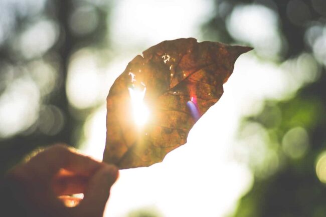 Enhancing Wellness The Power of IV Ozone and UV Light Therapy