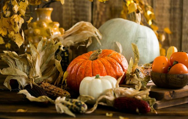Thanksgiving Food Coma? Expert Tips for Quick Recovery - 2025 Guide